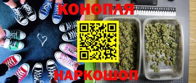 молекула духа Краснознаменск
