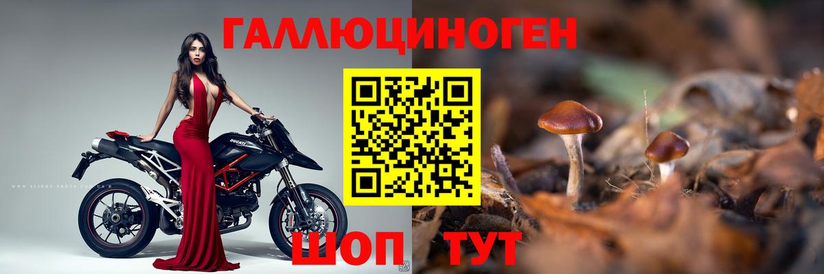 Галлюциногенные грибы Magic Shrooms Ейск